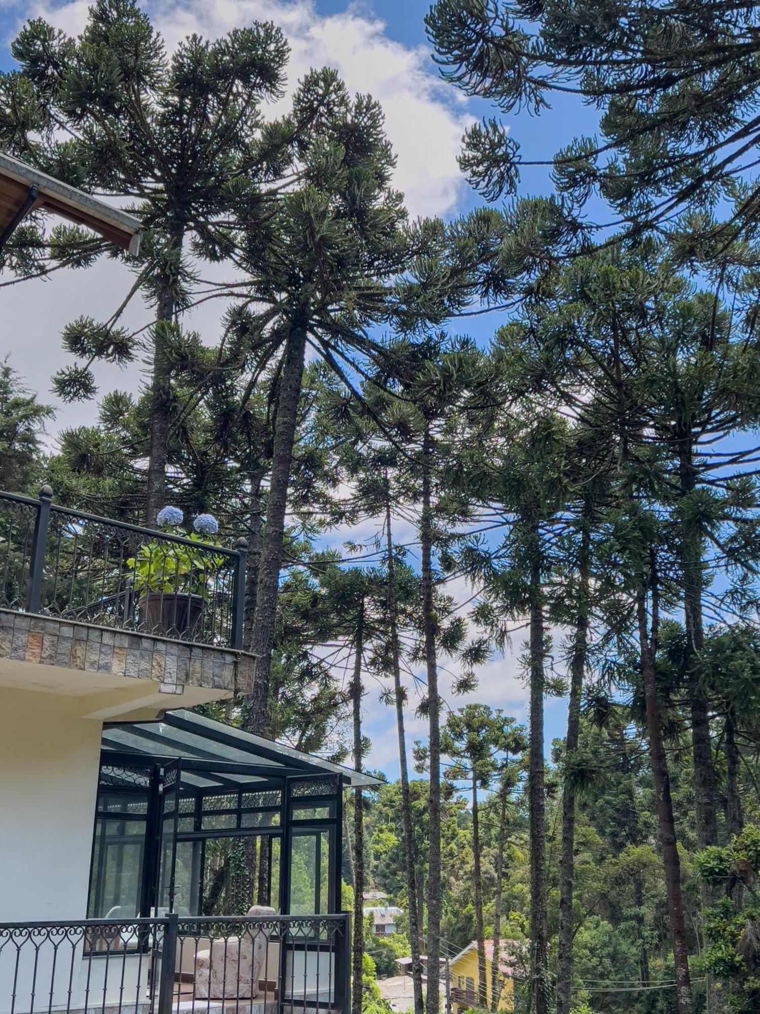 Hotel Recanto Do Pepe Campos do Jordão Esterno foto